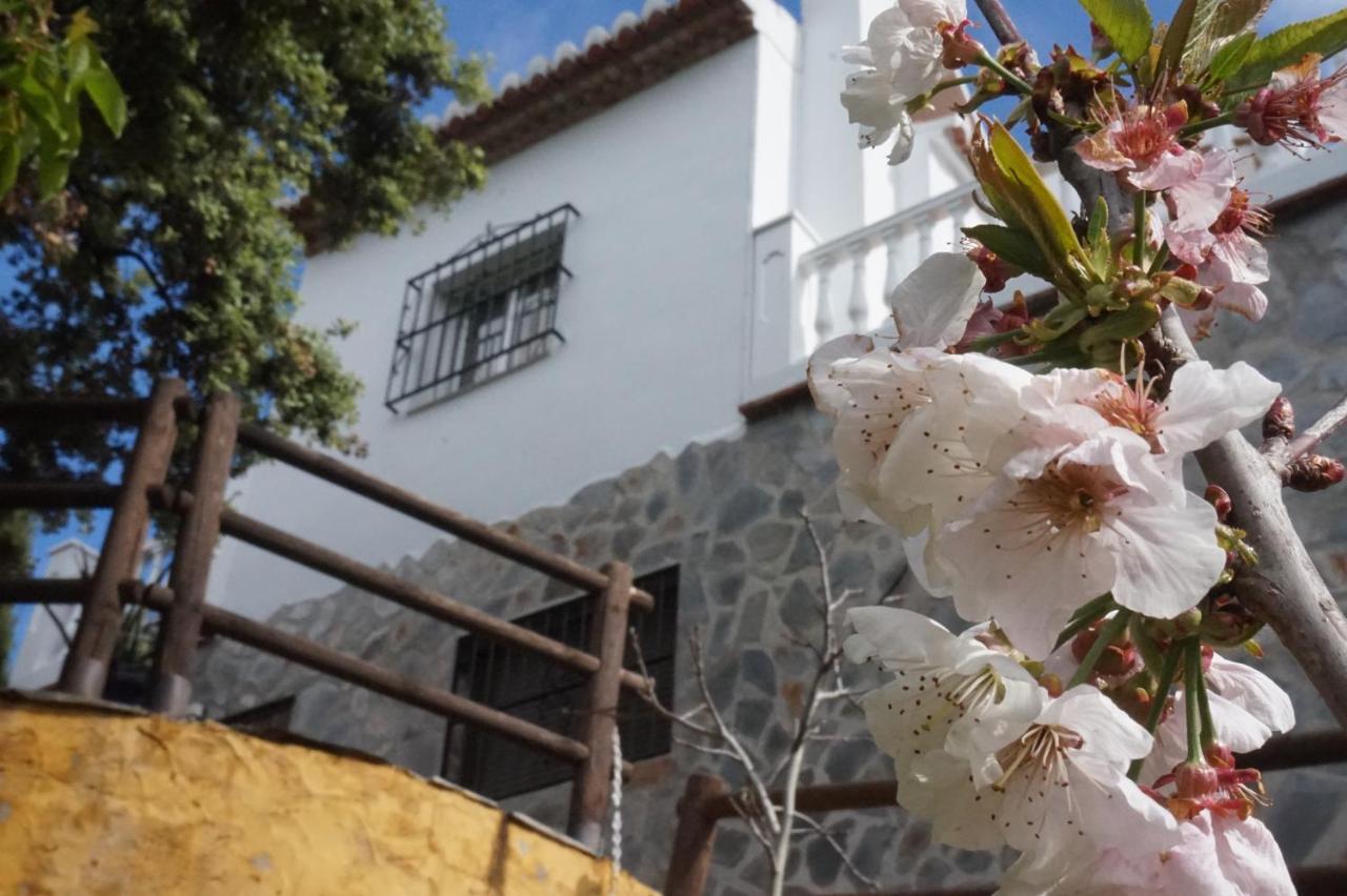 Villa Las Encinas Costa Del Sol Torrox Exterior foto